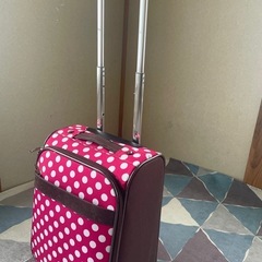 キャリーの画像