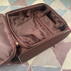 キャリーの画像