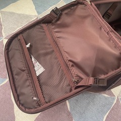 キャリーの画像