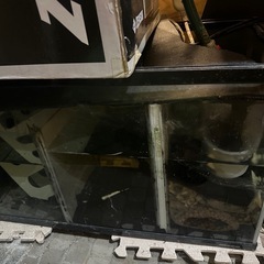 自作オーバーフロー水槽クーラーヒーター生体付き
の画像