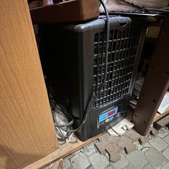 自作オーバーフロー水槽クーラーヒーター生体付き
の画像