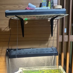 自作オーバーフロー水槽クーラーヒーター生体付き
の画像