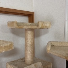 キャットタワーの画像
