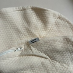 ロトトクッションの画像