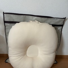ロトトクッションの画像
