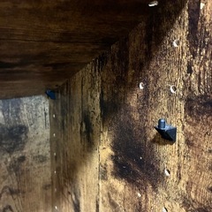 カラーボックス　木目調　の画像