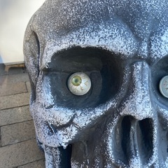 スカル　ドクロ　オブジェの画像