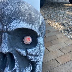 スカル　ドクロ　オブジェの画像
