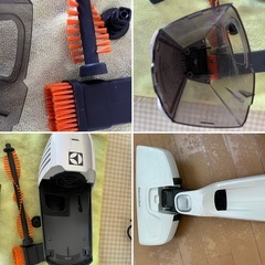 Electrolux elgorapidoの画像
