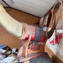 水牛？の角の画像