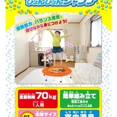 （相談中）トランポリンの画像