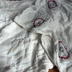 aden+anais おくるみ　2枚の画像