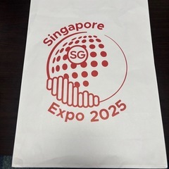 関西万博2025 シンガーポールグッズ一式の画像