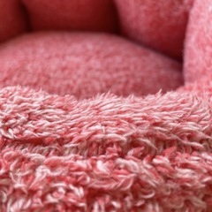 🉐ペットグッズ.美品❗️の画像