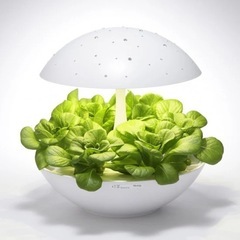 スワロフスキーを散りばめた水耕栽培キットAkarin01 キラキラバージョンの画像