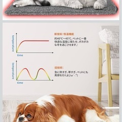 ペット用ホットカーペット 猫 犬ヒーター 電気毛布 40*30cm 過熱保護 噛み付き防止 挿しだけ使い もこもこ 冬 寒さ対策の画像
