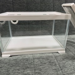 GEXガラス飼育ケース、ゲージホワイトの画像