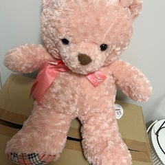 ぬいぐるみの画像