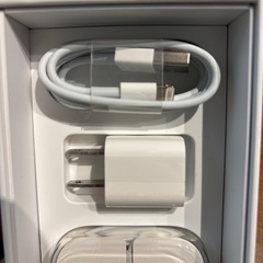 iPhone用イヤホン(有線・イヤーポッズ)の画像