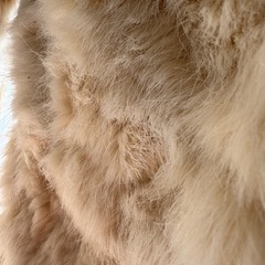 ふわふわアウターの画像