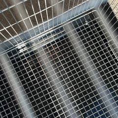 小動物ゲージ　イージーホーム40の画像