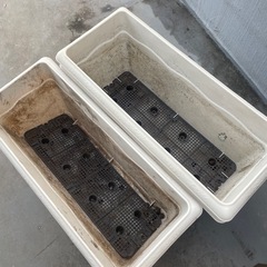 大きめプランター3つ ガーデニングの画像