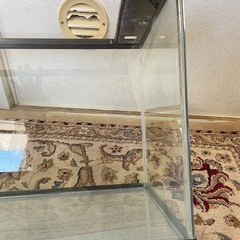 コトブキ 60cm ガラス 水槽の画像