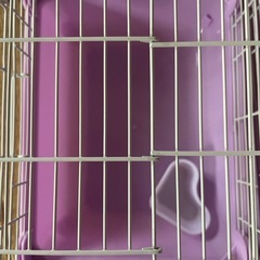 ハムスター、モルモット移動用ケージの画像