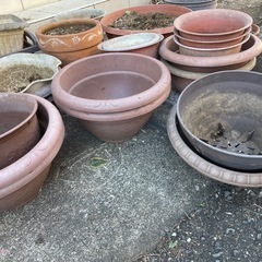 【1/3午前中まで】プランター各種無料の画像