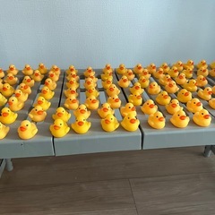 アヒルのソフビ（大量）の画像