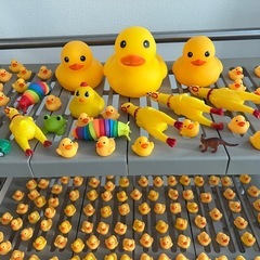 アヒルのソフビ（大量）の画像