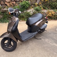 ホンダ　トゥディ　AF61  50cc 低走行の画像