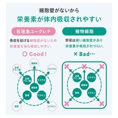 【新品・未開封】からだにユーグレナ グリーンスムージー 乳酸菌 15本入 ユーグレナ 砂糖不使用 野菜ジュース 乳酸菌飲料 子ども ビタミン ミネラル 食物繊維の画像