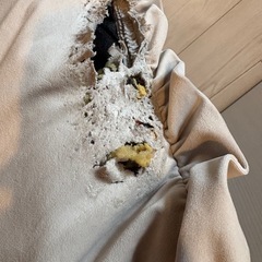 Francfranc 座椅子2個の画像