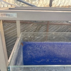 水槽、水槽台セットの画像