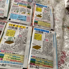 野菜　種　６袋　　の画像