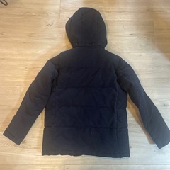 ダントン　ダウンの画像