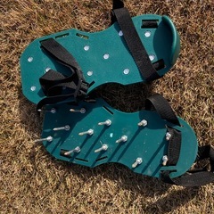 芝　エアレーションの画像