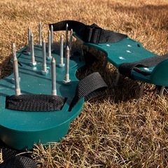 芝　エアレーションの画像