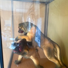 犬の置物ケース付の画像