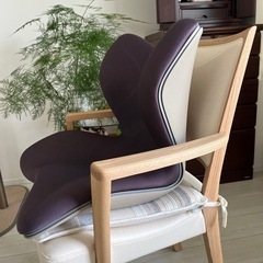 スタイルプレミアムの画像