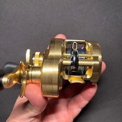 21カルカッタコンクエスト100HGの画像