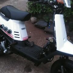 ペリカンジョグの画像