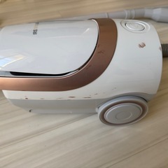 ¥0【掃除機/IRIS OHYAMA】の画像