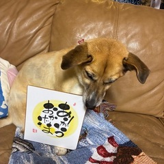 一緒に楽しく味の字描いてみませんかの画像