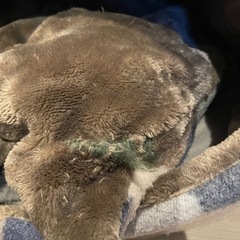 小型犬　小物セットの画像