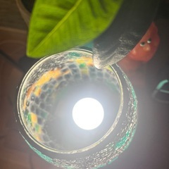 アジアン関節照明
の画像