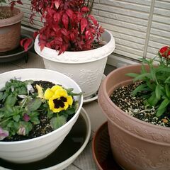 Casio製デジカメ(手渡しのみ・現金のみ)の画像