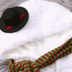 雪だるま　コスプレの画像