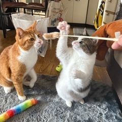 女の子と男の子